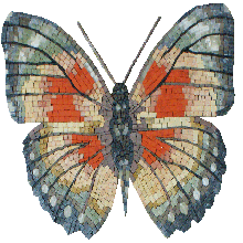 AN1014<BR>Beautiful Vibrant Shades Butterfly Mosaic