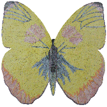 AN1015<BR>Beautiful Yellow Butterfly Mosaic