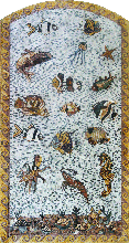 CR347 Rectangular sea life mosaic marble