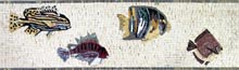 BD273 Fish parade marble mosaic