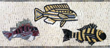 BD276 Fish parade marble mosaic