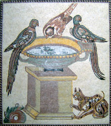 AN113 Birds drinking for water jar mosaic