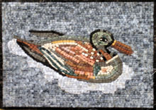 AN125 Swimming duck mosaic