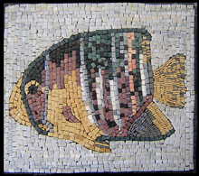 AN18 Big colorful fish mosaic