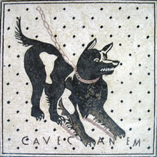 AN204 black dog with lace mosaic