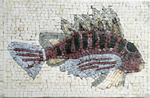 AN21 Fish with big fins mosaic