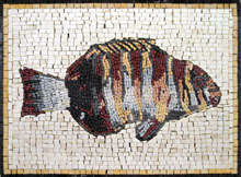 AN210 Colorful fish mosaic
