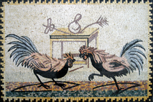 AN214 Elegant roosters mosaic