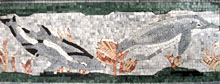 AN223 Swimming dolphins mosaic