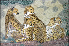 AN340 Tiger group mosaic