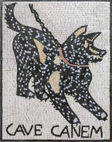 AN71 Black dog with lace mosaic