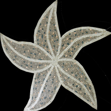AN474 Whit starfish on black background mosaic