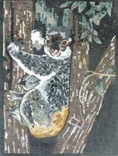 AN526 Koala on a tree mosaic