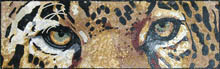AN653 Tiger eyes mosaic