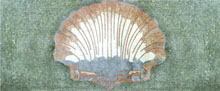 CR345 Big sea shell mosaic carpet