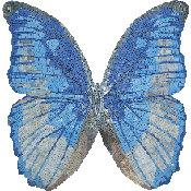 AN1012<BR>Beautiful Soft Blue Butterfly Mosaic