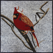 AN1137<BR>Red Cardinal