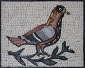AN1150<BR>Wondering Pigeon