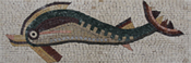 AN1152<BR>Oriental Dolphin