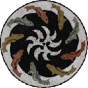 AN1163<BR>Fish Gathering