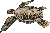 AN529<BR>Sea Turtle Peace Essence Mosaic