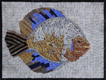 AN544 Beautifully colored fish mosaic