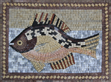 AN636 Multicolor fish mosaic