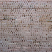 PM17<BR>Rosa Bellisimo