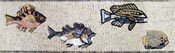 BD275 Fish parade marble mosaic