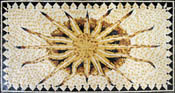 GEO489 Italian Sun Mosaic