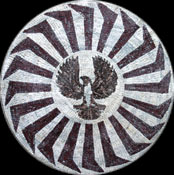 MD233 Eagle B&W mosaic