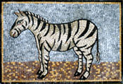 AN127 Zebra mosaic