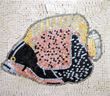 AN182 Big pastel fish mosaic