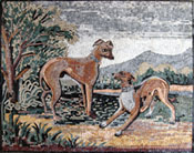 AN188 Dogs in nature mosaic