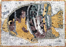 AN19 Big colorful fish mosaic