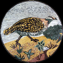 AN203 Colorful bird walking on sand mosaic