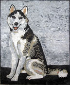 AN246 Beautiful husky on blue background mosaic