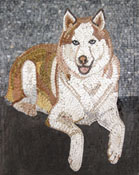 AN254 brown & white dog on grey background mosaic