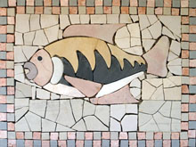 AN26 Fish cut tile art mosaic