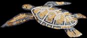 AN273 Green & yellow sea turtle on black background mosaic