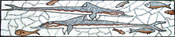 AN33 Swimming dolphins and fish mosaic