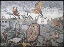 AN44 Birds and owl on leaf branches mosaic