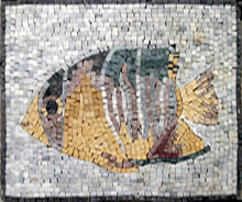 AN49 Fish marble mosaic