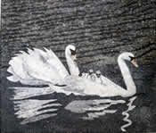 AN50 White swan family mosaic