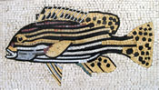 AN70 Striped and dotted fish mosaic
