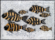 AN72 Black & gold swimming fish group mosaic