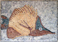 AN87 Multicolor fish mosaic