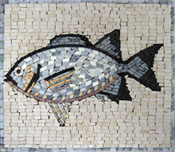 AN88 Fish stone mosaic