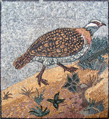 AN98 bird walking on sand mosaic