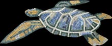 AN671 sea turtle on black background mosaic